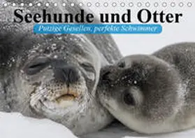 Stanzer |  Seehunde und Otter. Putzige Gesellen, perfekte Schwimmer (Tischkalender 2020 DIN A5 quer) | Sonstiges |  Sack Fachmedien