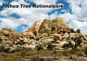 Mantke |  Joshua Tree Nationalpark - Wunderland aus Felsen (Wandkalender 2020 DIN A2 quer) | Sonstiges |  Sack Fachmedien