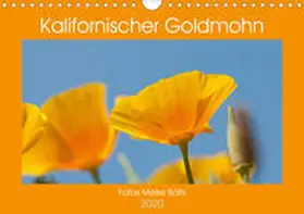 Bölts | Kalifornischer Goldmohn (Wandkalender 2020 DIN A4 quer) | Sonstiges | 978-3-670-79838-5 | www.sack.de