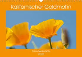 Bölts | Kalifornischer Goldmohn (Wandkalender 2020 DIN A3 quer) | Sonstiges | 978-3-670-79839-2 | www.sack.de