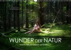 Allgaier (Ullision) |  WUNDER DER NATUR - wenn neues Leben entsteht (Wandkalender 2020 DIN A3 quer) | Sonstiges |  Sack Fachmedien