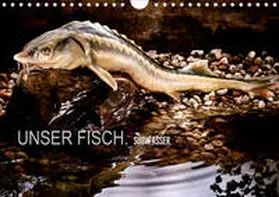 morgenstern |  UNSER FISCH. SÜßWASSER. (Wandkalender 2020 DIN A4 quer) | Sonstiges |  Sack Fachmedien