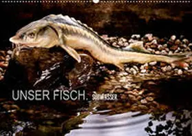 morgenstern |  UNSER FISCH. SÜßWASSER. (Wandkalender 2020 DIN A2 quer) | Sonstiges |  Sack Fachmedien