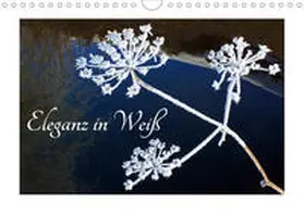 Kramer |  Eleganz in Weiß (Wandkalender 2020 DIN A4 quer) | Sonstiges |  Sack Fachmedien