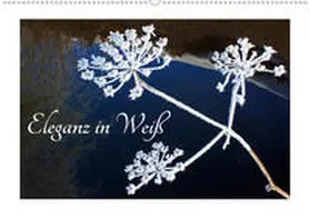 Kramer | Eleganz in Weiß (Wandkalender 2020 DIN A2 quer) | Sonstiges | 978-3-670-81421-4 | www.sack.de