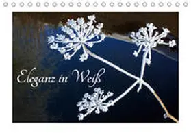 Kramer |  Eleganz in Weiß (Tischkalender 2020 DIN A5 quer) | Sonstiges |  Sack Fachmedien