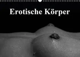 Stanzer | Erotische Körper (Wandkalender 2020 DIN A3 quer) | Sonstiges | 978-3-670-81960-8 | www.sack.de