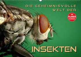 Bleicher |  Die geheimnisvolle Welt der Insekten (Wandkalender 2020 DIN A2 quer) | Sonstiges |  Sack Fachmedien