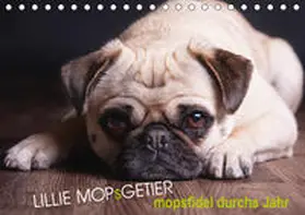 Raab | Lillie Mopsgetier - mopsfidel durchs Jahr (Tischkalender 2020 DIN A5 quer) | Sonstiges | 978-3-670-82162-5 | www.sack.de