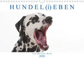 Raab | HUNDEL(i)EBEN (Wandkalender 2020 DIN A4 quer) | Sonstiges | 978-3-670-82175-5 | www.sack.de