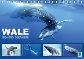 Calvendo / CALVENDO |  Wale: Giganten der Meere (Tischkalender 2020 DIN A5 quer) | Sonstiges |  Sack Fachmedien