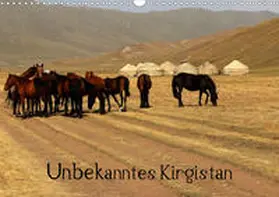Becker |  Unbekanntes Kirgistan (Wandkalender 2020 DIN A3 quer) | Sonstiges |  Sack Fachmedien