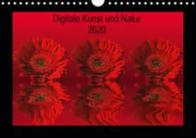 Fornal |  Digitale Kunst und Natur (Wandkalender 2020 DIN A4 quer) | Sonstiges |  Sack Fachmedien