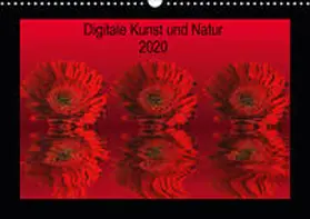 Fornal |  Digitale Kunst und Natur (Wandkalender 2020 DIN A3 quer) | Sonstiges |  Sack Fachmedien