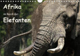 Herzog | Afrika - im Reich der Elefanten (Wandkalender 2020 DIN A4 quer) | Sonstiges | 978-3-670-83335-2 | sack.de