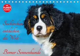 Starick |  Seebärchen entdecken die Welt - Berner Sennenhunde (Tischkalender 2020 DIN A5 quer) | Sonstiges |  Sack Fachmedien