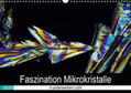 Becker |  Faszination Mikrokristalle in polarisiertem Licht (Wandkalender 2020 DIN A3 quer) | Sonstiges |  Sack Fachmedien