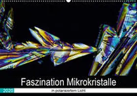 Becker |  Faszination Mikrokristalle in polarisiertem Licht (Wandkalender 2020 DIN A2 quer) | Sonstiges |  Sack Fachmedien