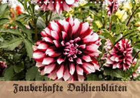 Schneller |  Zauberhafte Dahlienblüten (Wandkalender 2020 DIN A4 quer) | Sonstiges |  Sack Fachmedien