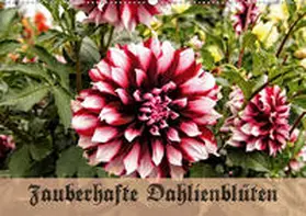 Schneller |  Zauberhafte Dahlienblüten (Wandkalender 2020 DIN A2 quer) | Sonstiges |  Sack Fachmedien