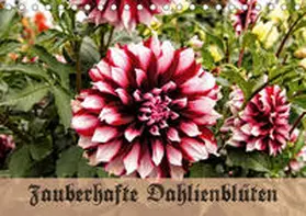 Schneller |  Zauberhafte Dahlienblüten (Tischkalender 2020 DIN A5 quer) | Sonstiges |  Sack Fachmedien