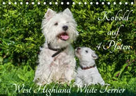 Starick |  Kobold auf 4 Pfoten - West Highland White Terrier (Tischkalender 2020 DIN A5 quer) | Sonstiges |  Sack Fachmedien