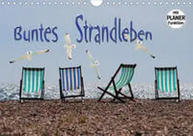 Bleicher |  Buntes Strandleben (Wandkalender 2020 DIN A4 quer) | Sonstiges |  Sack Fachmedien