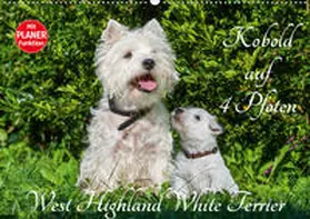 Starick |  Kobold auf 4 Pfoten - West Highland White Terrier (Wandkalender 2020 DIN A2 quer) | Sonstiges |  Sack Fachmedien