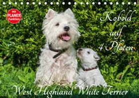 Starick |  Kobold auf 4 Pfoten - West Highland White Terrier (Tischkalender 2020 DIN A5 quer) | Sonstiges |  Sack Fachmedien