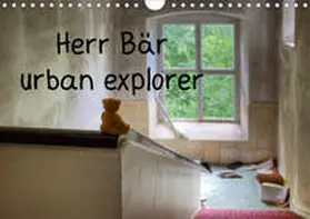 Buchmann |  Herr Bär urban explorer (Wandkalender 2020 DIN A4 quer) | Sonstiges |  Sack Fachmedien