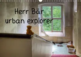 Buchmann |  Herr Bär urban explorer (Wandkalender 2020 DIN A3 quer) | Sonstiges |  Sack Fachmedien