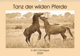 Bölts |  Tanz der wilden Pferde in der Camargue (Wandkalender 2020 DIN A3 quer) | Sonstiges |  Sack Fachmedien