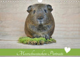 Fischer | Meerschweinchen Portraits (Wandkalender 2020 DIN A4 quer) | Sonstiges | 978-3-670-86322-9 | sack.de