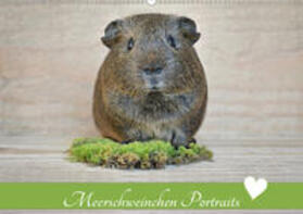 Fischer | Meerschweinchen Portraits (Wandkalender 2020 DIN A2 quer) | Sonstiges | 978-3-670-86324-3 | sack.de