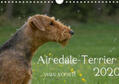 Janz |  Airedale-Terrier, was sonst! (Wandkalender 2020 DIN A4 quer) | Sonstiges |  Sack Fachmedien