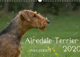 Janz |  Airedale-Terrier, was sonst! (Wandkalender 2020 DIN A3 quer) | Sonstiges |  Sack Fachmedien