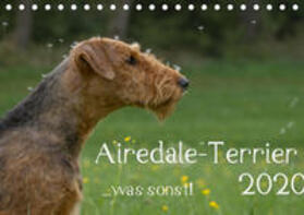 Janz | Airedale-Terrier, was sonst! (Tischkalender 2020 DIN A5 quer) | Sonstiges | 978-3-670-86514-8 | sack.de