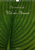 Pohl |  Die zauberhafte Welt der Botanik (Wandkalender 2020 DIN A4 hoch) | Sonstiges |  Sack Fachmedien