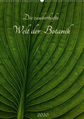 Pohl |  Die zauberhafte Welt der Botanik (Wandkalender 2020 DIN A2 hoch) | Sonstiges |  Sack Fachmedien