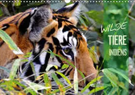 Bergermann |  Wilde Tiere Indiens (Wandkalender 2020 DIN A3 quer) | Sonstiges |  Sack Fachmedien