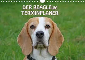 Lindert-Rottke |  DER BEAGLEige TERMINPLANER (Wandkalender 2020 DIN A4 quer) | Sonstiges |  Sack Fachmedien