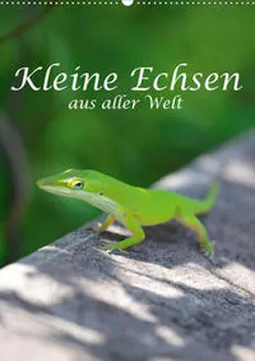 STYPPA |  Kleine Echsen aus aller Welt (Wandkalender 2020 DIN A2 hoch) | Sonstiges |  Sack Fachmedien