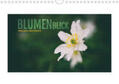 Jansen |  BlumenBlick (Wandkalender 2020 DIN A4 quer) | Sonstiges |  Sack Fachmedien