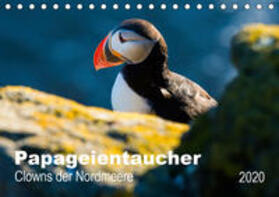 Wagner | PAPAGEIENTAUCHER - Clowns der Nordmeere (Tischkalender 2020 DIN A5 quer) | Sonstiges | 978-3-670-88370-8 | sack.de