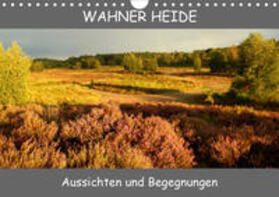 Becker | Wahner Heide - Aussichten und Begegnungen (Wandkalender 2020 DIN A4 quer) | Sonstiges | 978-3-670-88584-9 | sack.de
