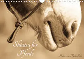 Bölts |  Shiatsu für Pferde - Photos von Meike Bölts (Wandkalender 2020 DIN A4 quer) | Sonstiges |  Sack Fachmedien
