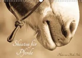 Bölts |  Shiatsu für Pferde - Photos von Meike Bölts (Wandkalender 2020 DIN A3 quer) | Sonstiges |  Sack Fachmedien