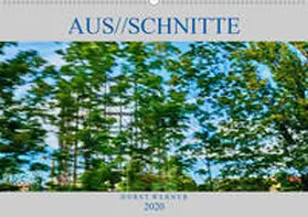 Werner |  Aus//schnitte (Wandkalender 2020 DIN A2 quer) | Sonstiges |  Sack Fachmedien
