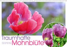 Löwer |  Traumhafte Mohnblüte (Wandkalender 2020 DIN A3 quer) | Sonstiges |  Sack Fachmedien