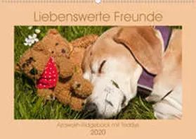 Bölts |  Liebenswerte Freunde - Azawakh-Ridgeback mit Teddys (Wandkalender 2020 DIN A2 quer) | Sonstiges |  Sack Fachmedien
